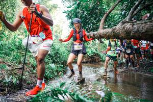 BIB: 
                            <button type="button" onclick="openModal(25516546)" class="btn btn-primary btn-sm float-right btn-popup" data-toggle="modal" data-target=".modal-high-quality">
                        <i class="fas fa-shopping-cart"></i> Add to Cart
                    </button>
                                            <button type="button" onclick="isThisMe(25516546, true)" class="btn btn-success btn-sm float-right btn-popup btn-isme hidden" data-toggle="tooltip" data-placement="bottom" title="นี่คือรูปของคุณใช่ไหม คลิกที่นี่เพื่อเอาเข้าอัลบั้ม">
                        <i class="fas fa-plus"></i> Add to album
                    </button>
                    <button type="button" onclick="isThisMe(25516546, false)" class="btn btn-warning btn-sm float-right btn-popup btn-isnotme hidden">
                        <i class="fas fa-ban"></i> Remove from album
                    </button>